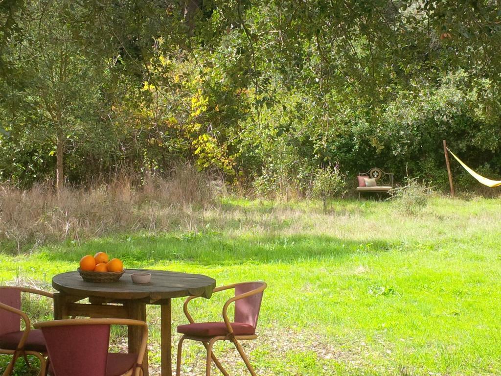 Quiet And Cottage In The Estate Casas Da Cerca Troviscais Exterior foto