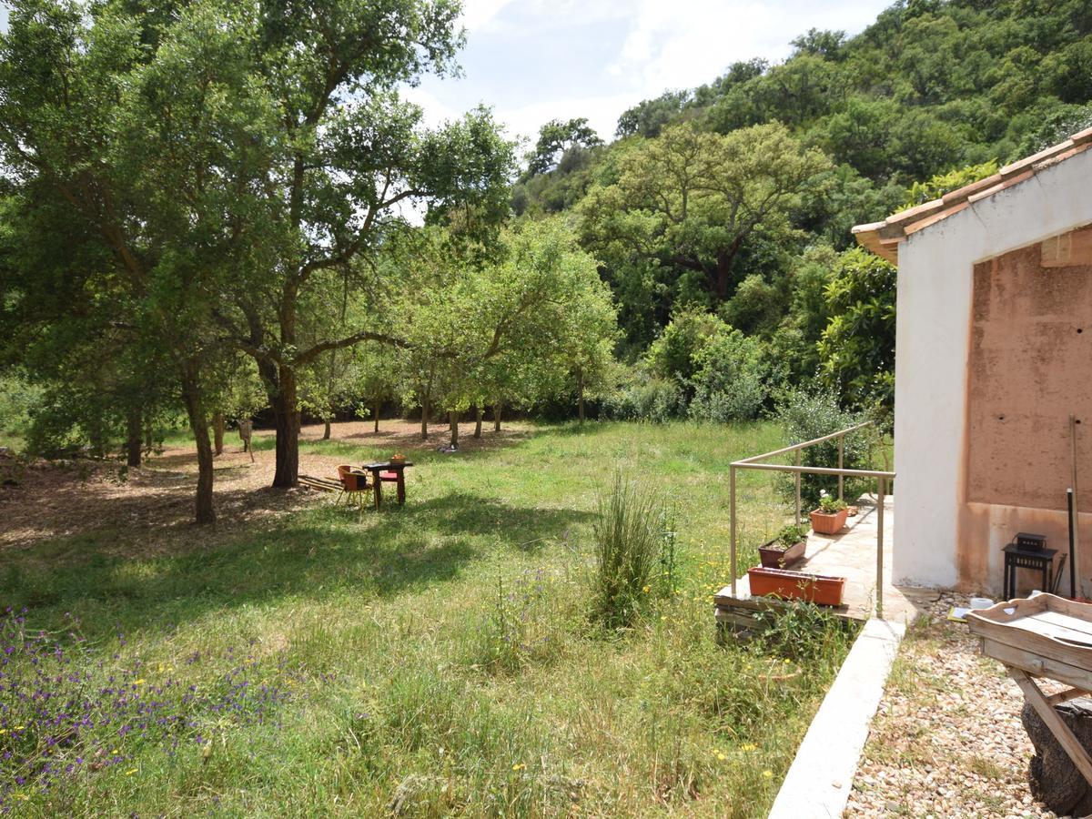 Quiet And Cottage In The Estate Casas Da Cerca Troviscais Exterior foto